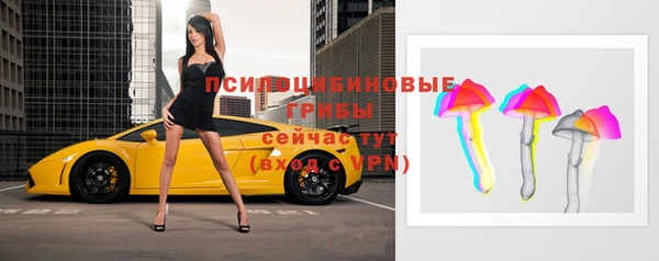 крисы Зеленокумск