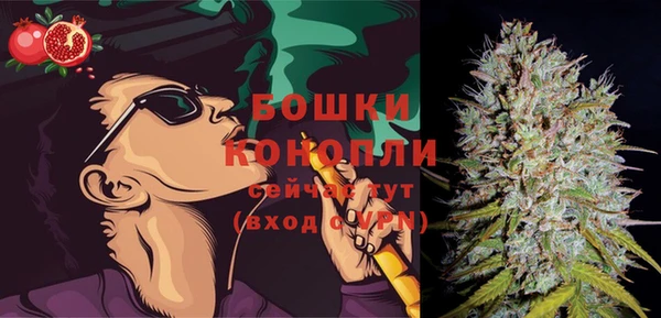 крисы Зеленокумск
