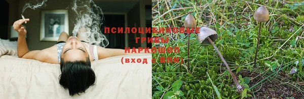марихуана Зеленодольск