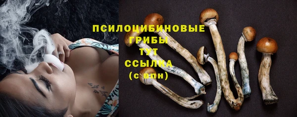 эйфоретик Инта