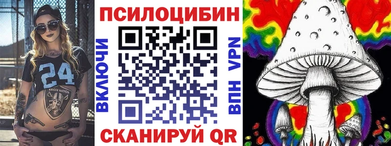 гидра ссылка  Княгинино  Галлюциногенные грибы Cubensis 